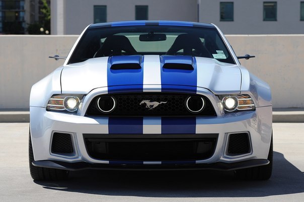 ford mustang shelby gt 500 2013 остав