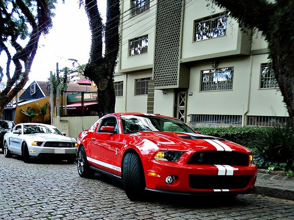 SHELBY GT500 AND MUSTANG CS