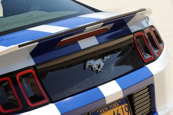 Need For Speed Shelby Gt500