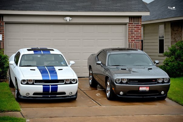 Dodge Challengers.