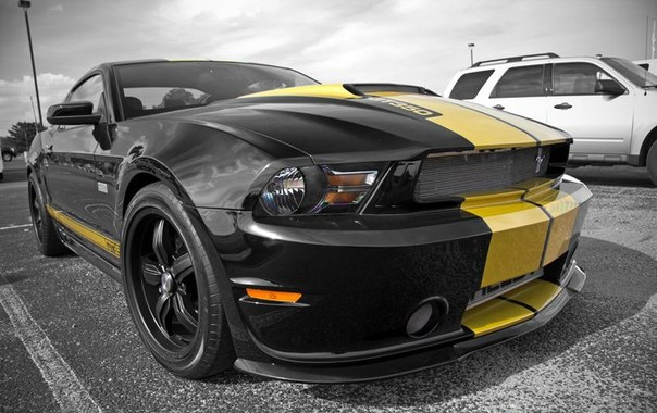 Ford Mustang Shelby GT-350 50th Anniversary ed. ´12