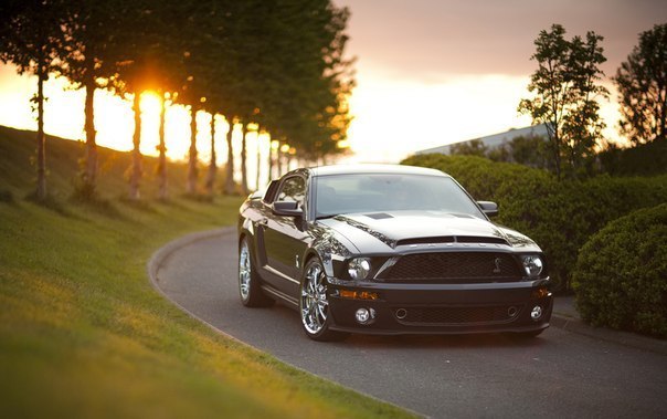 Shelby Mustang, 2006