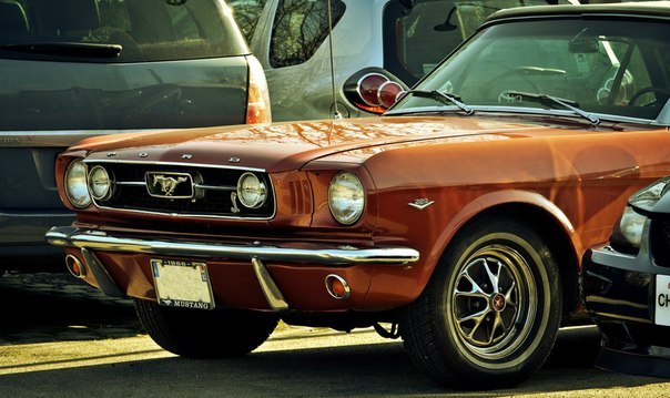 Ford Mustang V8 1965