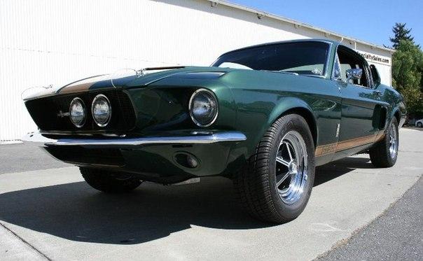 '67 Ford Shelby GT500