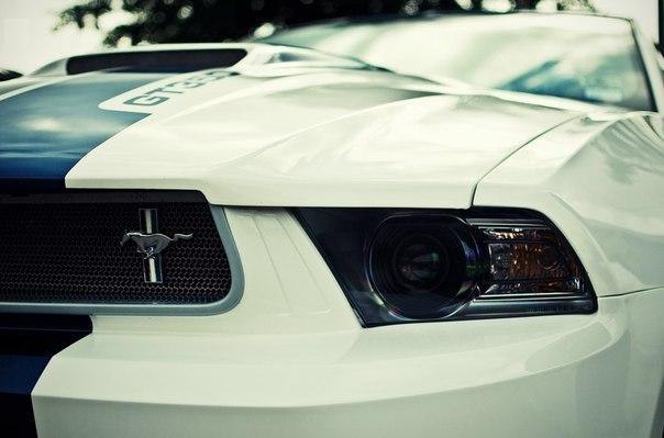 Shelby Mustang GT350 2011