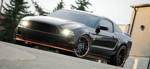 Ford Mustang Bad Penny
