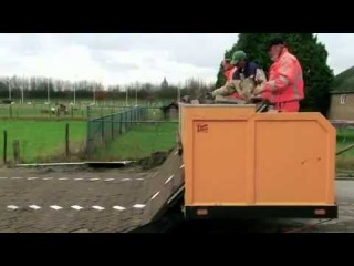 Как кладут дороги в Голландии (фото+видео)