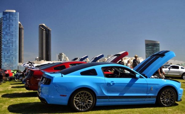 Встреча владельцев Mustang в США
