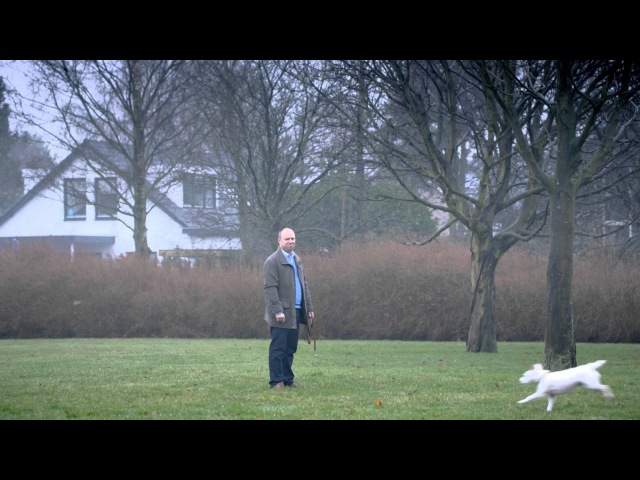 Продолжая тему собак и машин, Volkswagen выпустили еще один рекламный ролик с участием четвероногого друга.