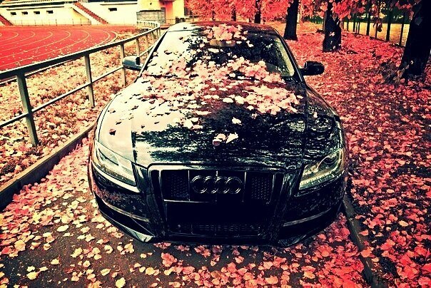 Audi ,под осень!
