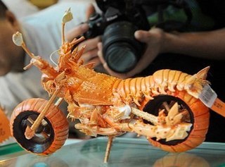 У тайваньского шеф-повара и художника по совместительству есть необычное хобби. Хуан Мингбо делает уникальные модели мотоциклов из... панцирей омаров! Мужчина, чтобы не выбрасывать "несъедобную" часть омара, делает из нее оригинальную модель мотоцикла какой-нибудь марки.