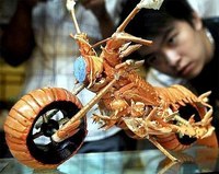У тайваньского шеф-повара и художника по совместительству есть необычное хобби. Хуан Мингбо делает уникальные модели мотоциклов из... панцирей омаров! Мужчина, чтобы не выбрасывать "несъедобную" часть омара, делает из нее оригинальную модель мотоцикла какой-нибудь марки.