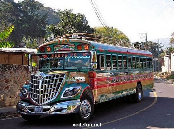 Куриные автобусы в Латинской Америке. 