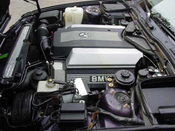 Мало кто знает, что для Канады была выпущена спец-версия Е34 - М540i. 32 экземпляра собирались вручную совместными усилиями инженеров BMW Individual. В отличие от гражданских 540ых эти машины имели: