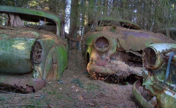 В небольшом лесу в южной Бельгии около деревеньки Шатильон (Chatillon ) находится очень старое авто-кладбище. Это частная собственность американских солдат, которые во времена 2-й мировой войны базировались в этих краях.