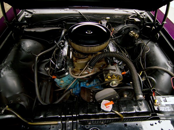 Pontiac Tempest GTO "xXx" 