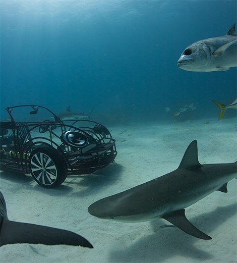 VW сделал клетку от акул в виде кабриолета Beetle