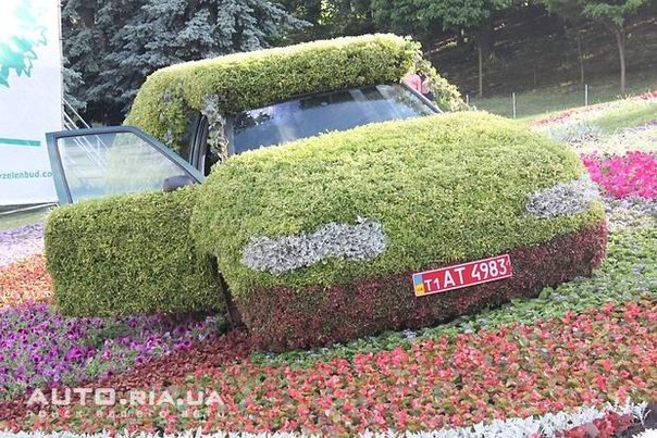 В Киеве открыли цветочный автосалон