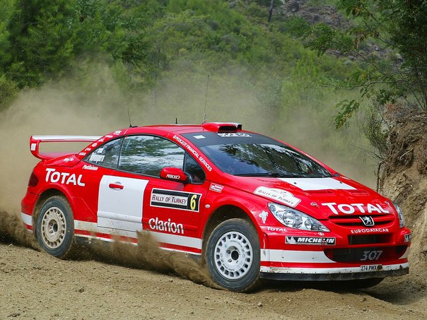 Peugeot 307 WRC, 2004–2005