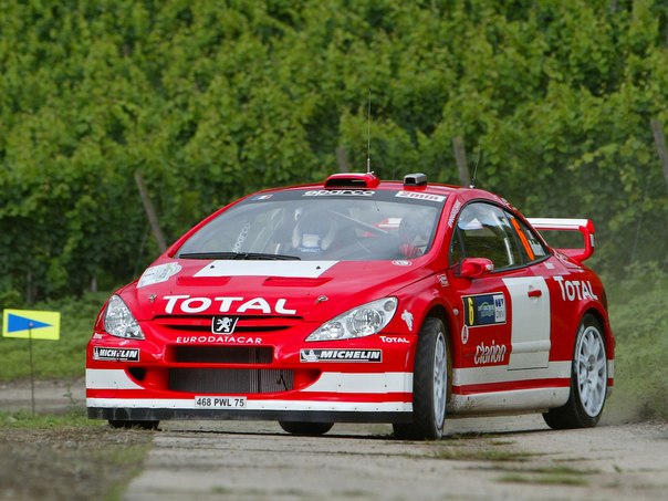 Peugeot 307 WRC, 2004–2005