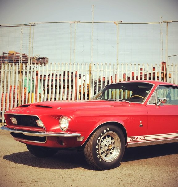 Shelby GT500, 1968