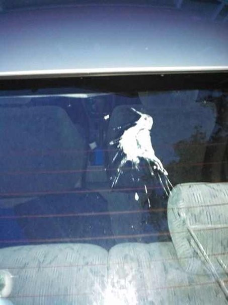 Голубь нарисовал на стекле машины свой автопортрет