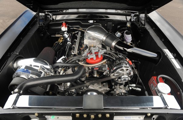 Shelby GT500 CR Venom