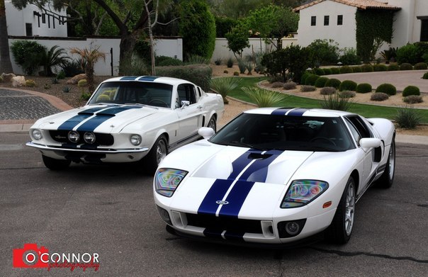 Ford GT and Shelby GT500.