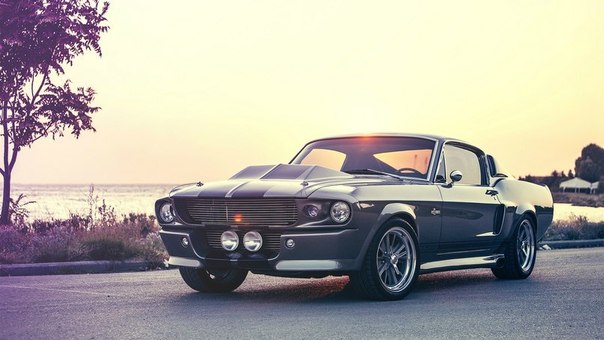 Ford Mustang GT500E Shelby Eleanor