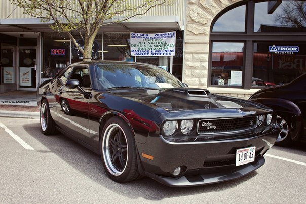 Dodge Challenger S/C by Petty