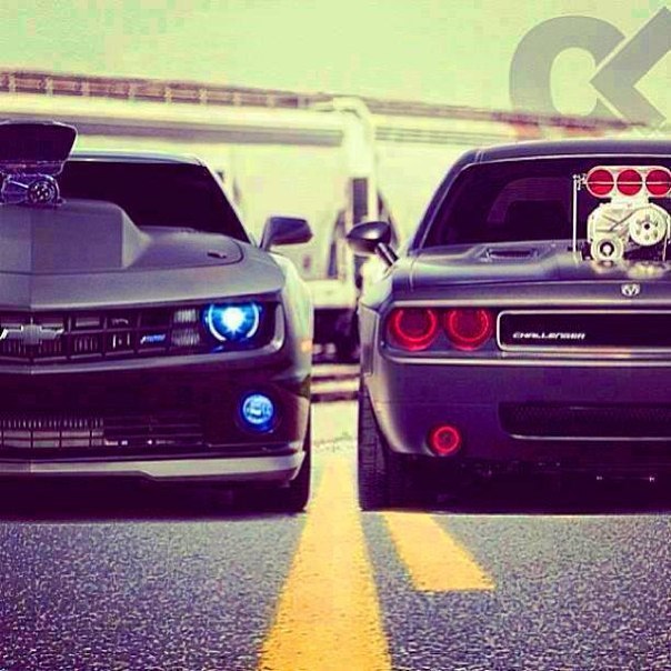 Camaro & Challenger